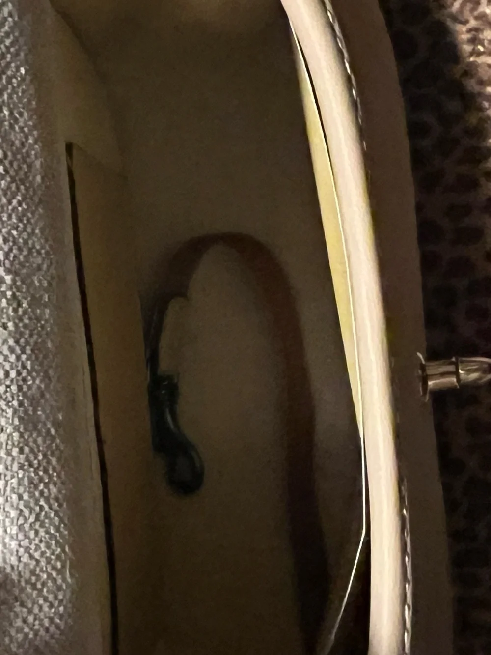 Dooney & Bourke Leather Crossbody in Tomato with Gold Hardware NWT - Picture 4 of 8